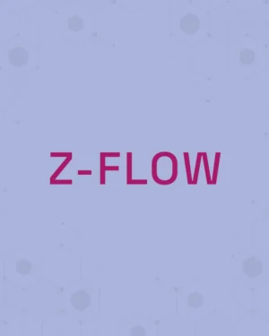 Z-FLOW